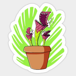 Sarracenia purpurea Sticker